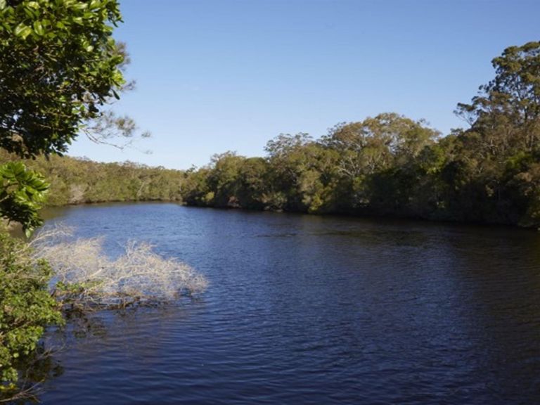 Esk River in Bundjalung National Park. Photo: Nick Cubbin &copy; OEH