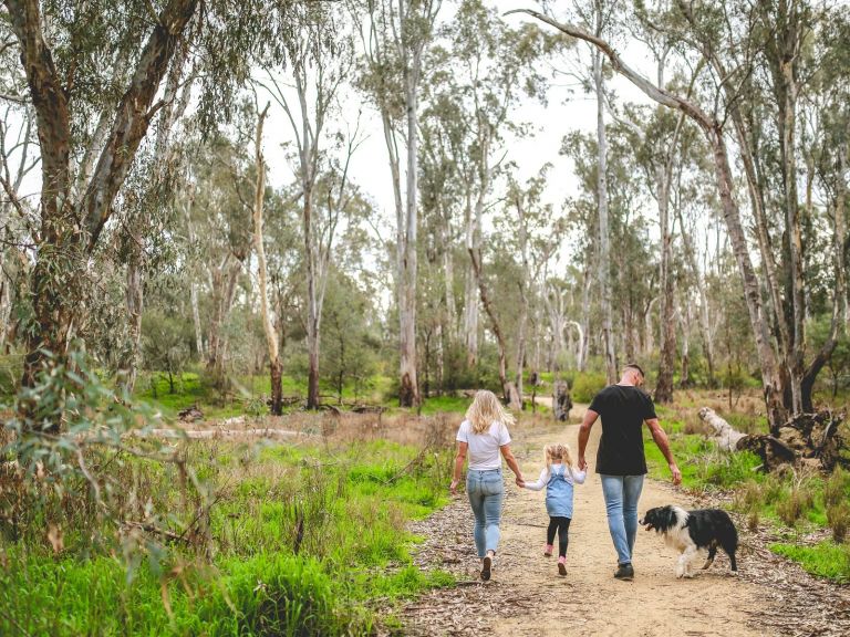 Family walking through bushland