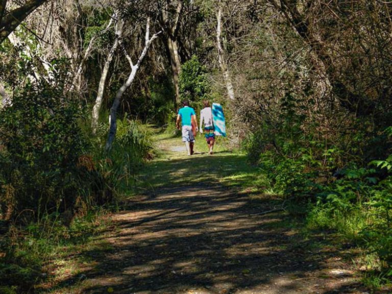 Crowdy Gap walking track, Crowdy Bay National Park. Photo: Debby McGerty/NSW Government