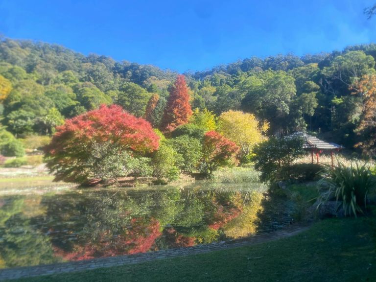 island autumn colours