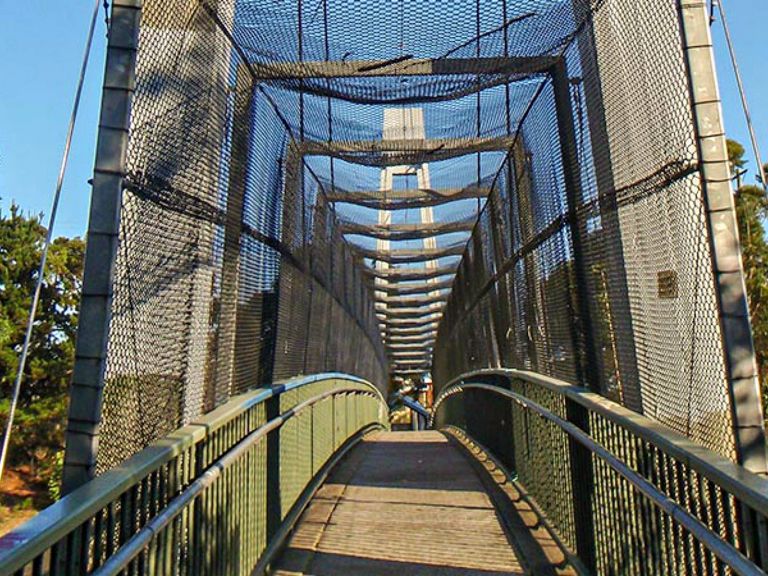 A footbridge on the Mount Ku-ring-gai track to Berowra. Photo:Andy Richards/NSW Government