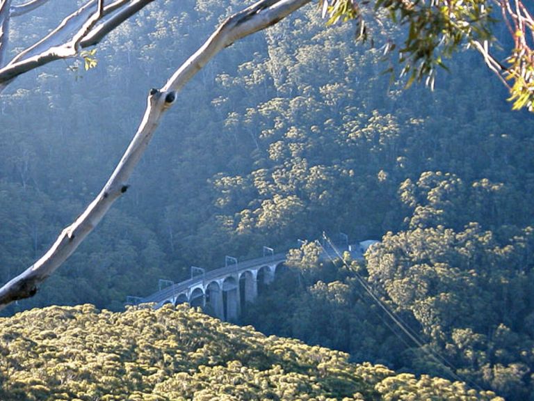 Rainforest and bridge, Illawarra Escarpment State Conservation Area. Photo: NSW Government