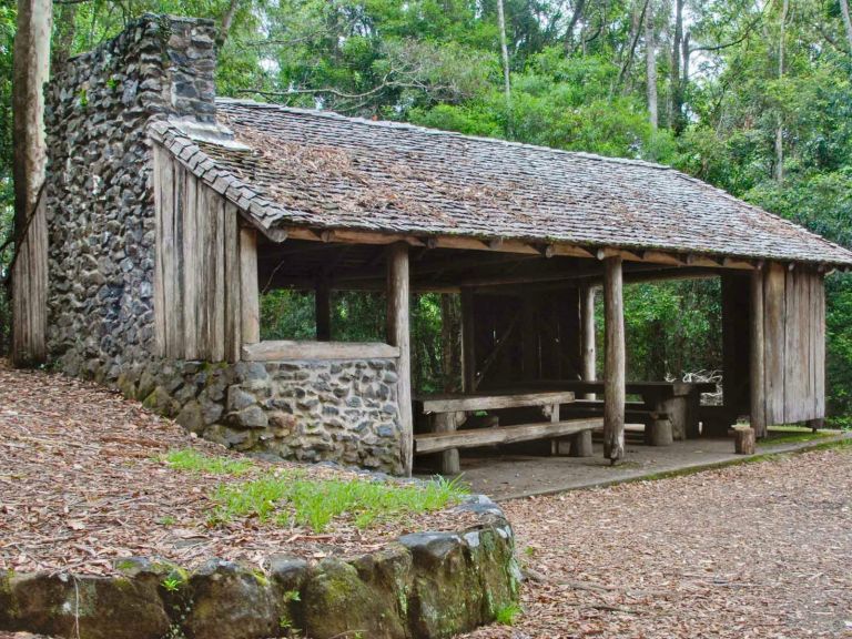 Never Never picnic area, Dorrigo National Park. Photo: Rob Cleary