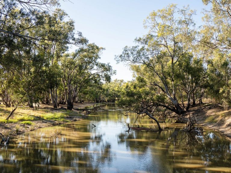 Jerilderie, Riverina, walk, track