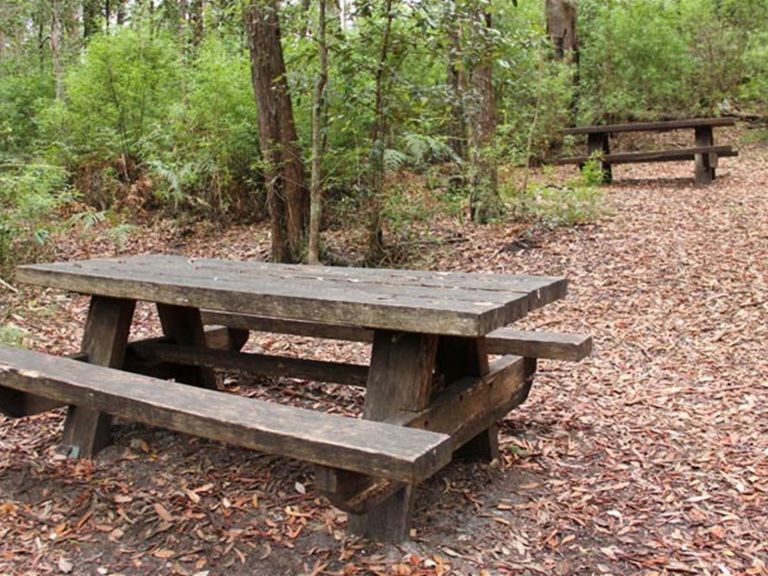 George Boyd picnic area, Morton National Park. Photo: John Yurasek &copy; OEH