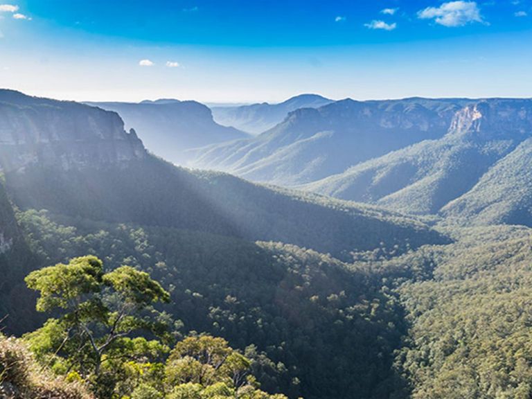 Panoramic view of Grose Valley from Govetts Leap lookout, Blue Mountains National Park. Photo: