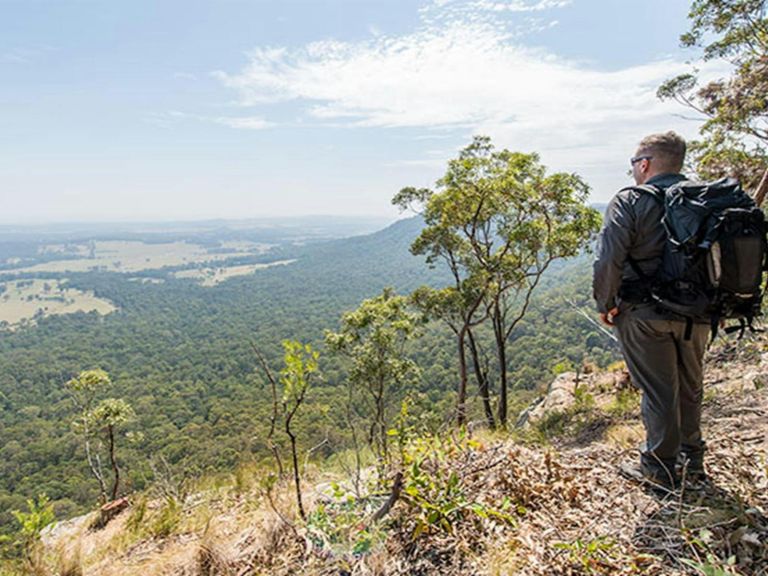 Great North walk, Watagans National Park. Photo: John Spencer &copy; OEH