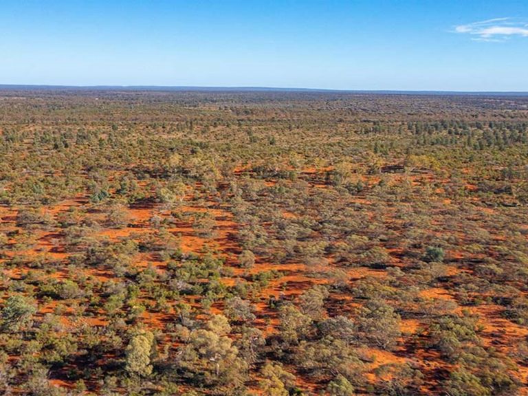 Aerial view of Koonaburra National Park. Photo: Joshua Smith &copy; DPE