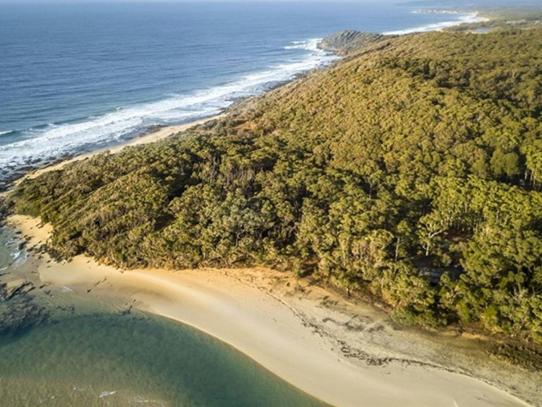 Aerial image of the beach at Mimosa Rocks National Park. Photo: John Spencer &copy; DPIE