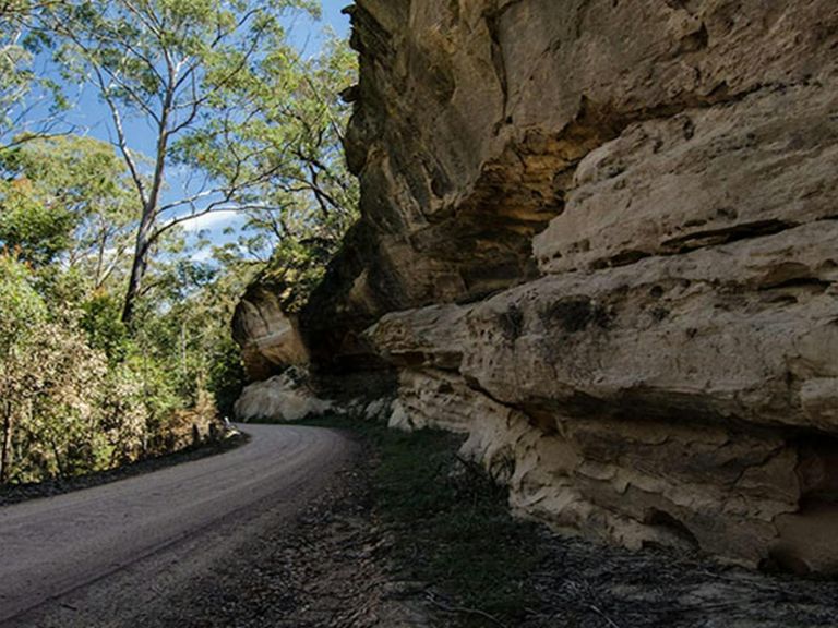 World Heritage Drive, Nattai National Park. Photo: John Spencer &copy; DPIE