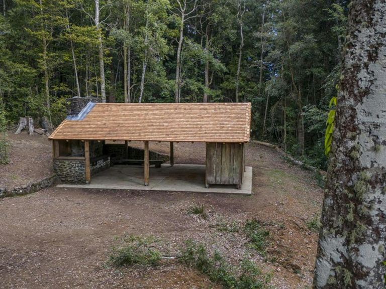 An wide view of the picnic shelter and its lush forest setting at Never Never picnic area, Dorrigo