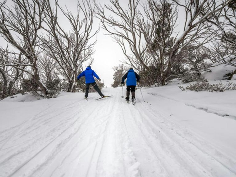 Perisher Range cross-country ski trails, Kosciuszko National Park. Photo: John Spencer