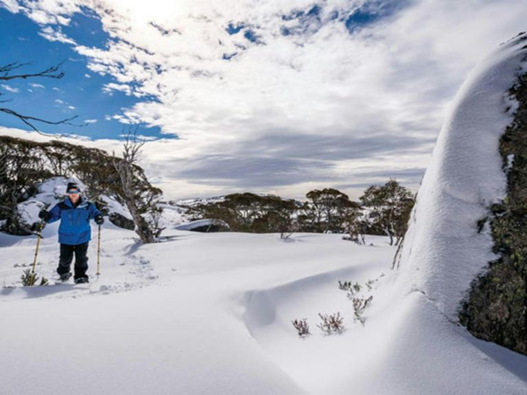 Try shoeshoeing Perisher's Rock Creek in Kosciuszko National Park. Photo: John Spencer/OEH