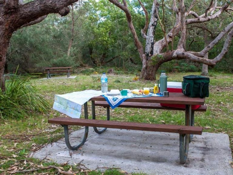 Food containers on a picnic table, Red Point picnic area, Jervis Bay National Park. Photo: Michael