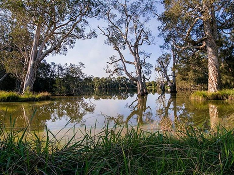 Seaham Swamp Nature Reserve. Photo: John Spencer &copy; DPIE