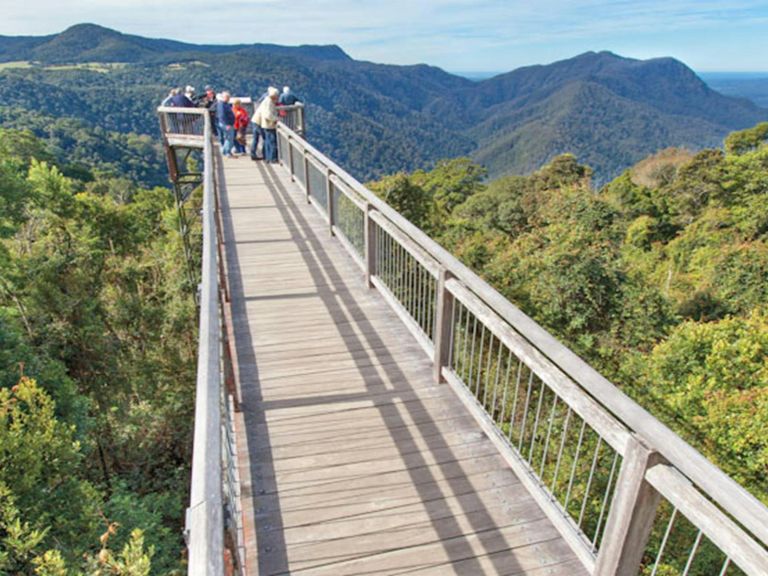 Skywalk lookout, Dorrigo National Park. Photo: Rob Cleary &copy; DPIE