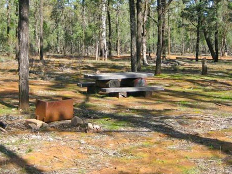 Two Dams picnic area, Ben State Conservation Area. Photo: R. Hurst/NSW Government