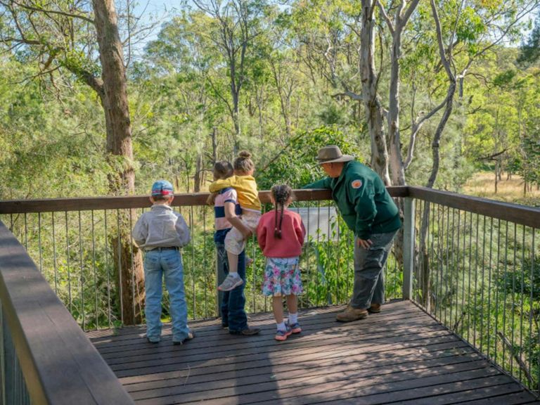 Viewing platform set within river oak forest, Towarri National Park. Credit: John Spencer &copy; DPE