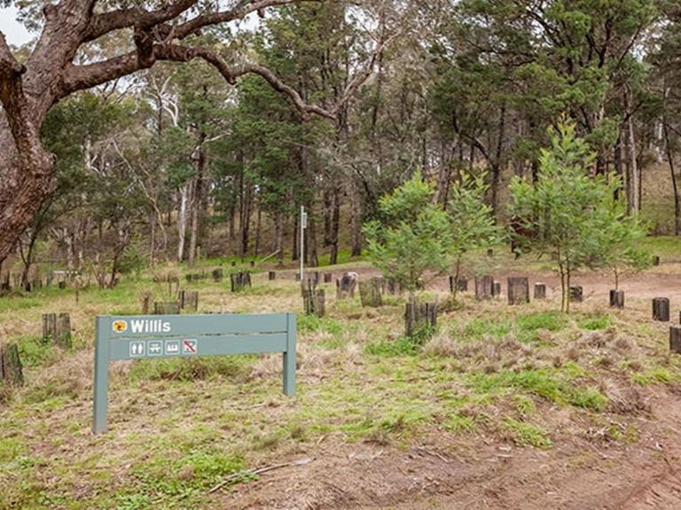 Willis picnic area, Kosciuszko National Park. Photo: Murray Vanderveer/DPIE