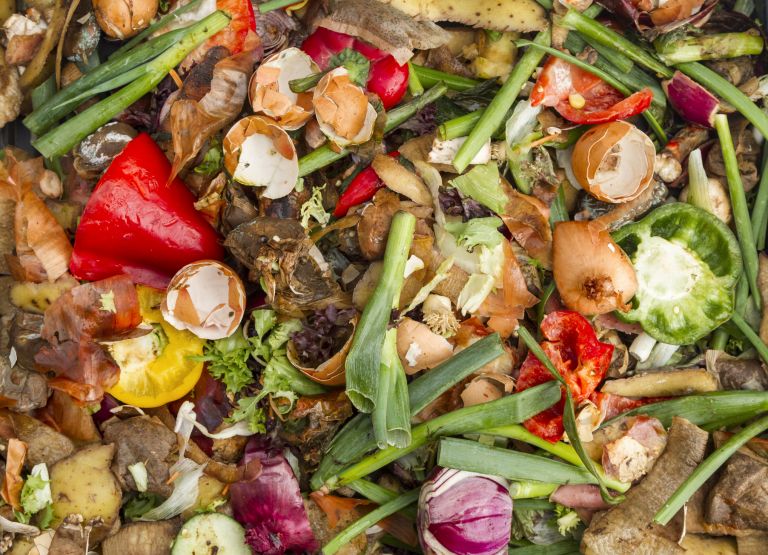 Domestic kitchen waste in a compost heap.